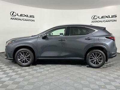 2024 Lexus NX 350 Base