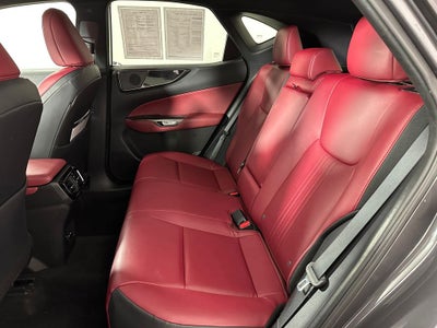 2024 Lexus NX 350 Base