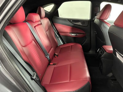 2024 Lexus NX 350 Base