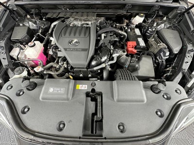2024 Lexus NX 350 Base