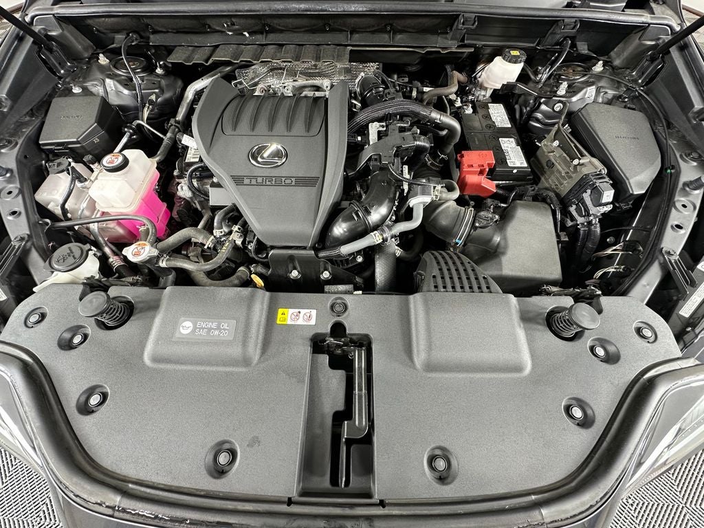 2024 Lexus NX 350 Base