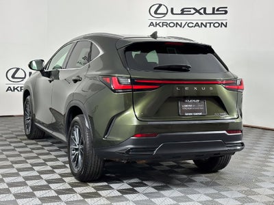 2025 Lexus NX 350 Base