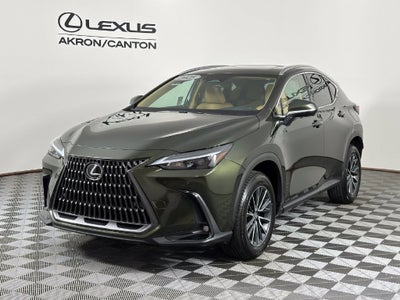 2025 Lexus NX 350 Base