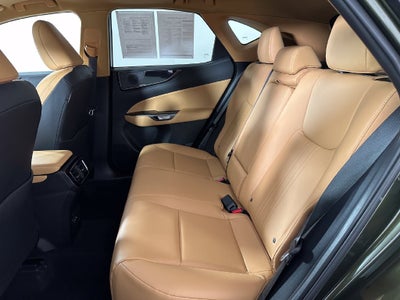 2025 Lexus NX 350 Base