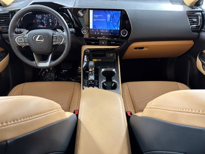 2025 Lexus NX 350 Base