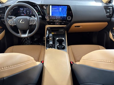 2025 Lexus NX 350 Base