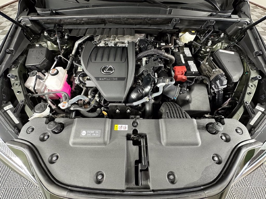 2025 Lexus NX 350 Base