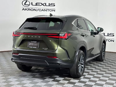 2025 Lexus NX 350 Base