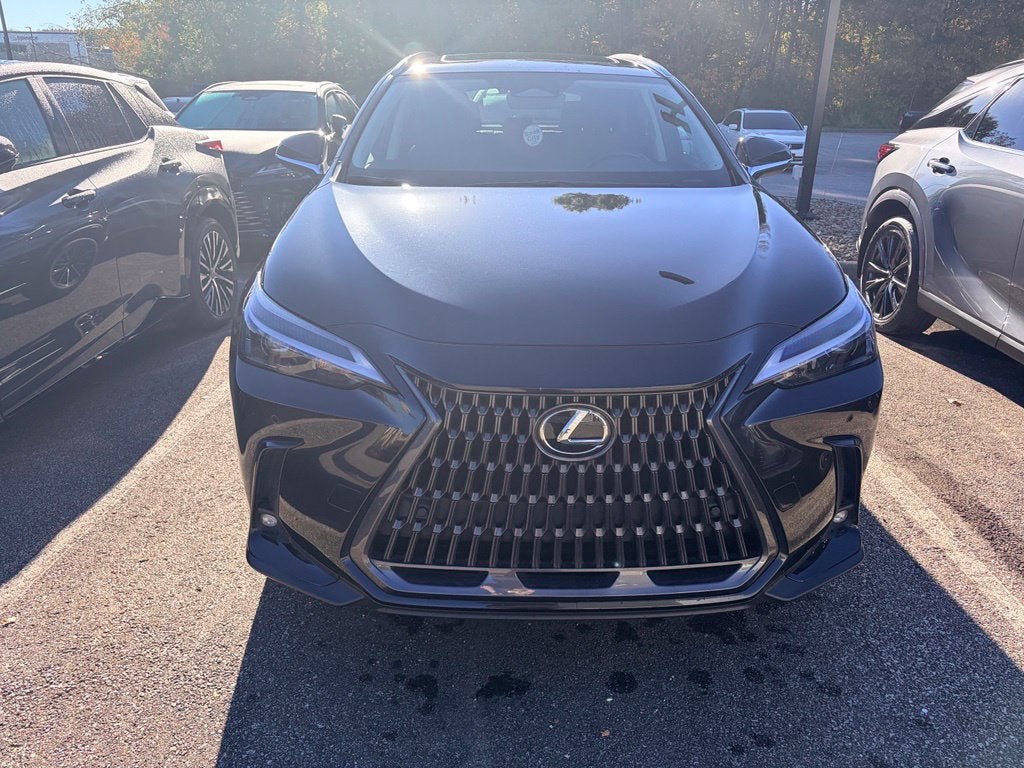 2025 Lexus NX 350 Base