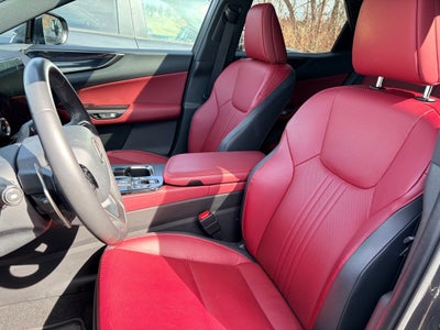 2023 Lexus NX 350 Base