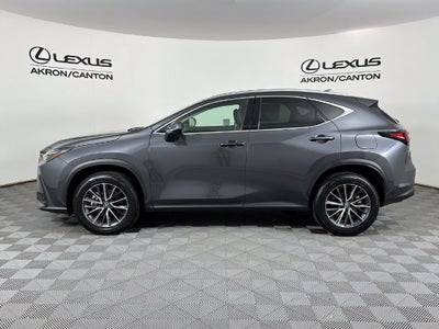 2025 Lexus NX 350 Base