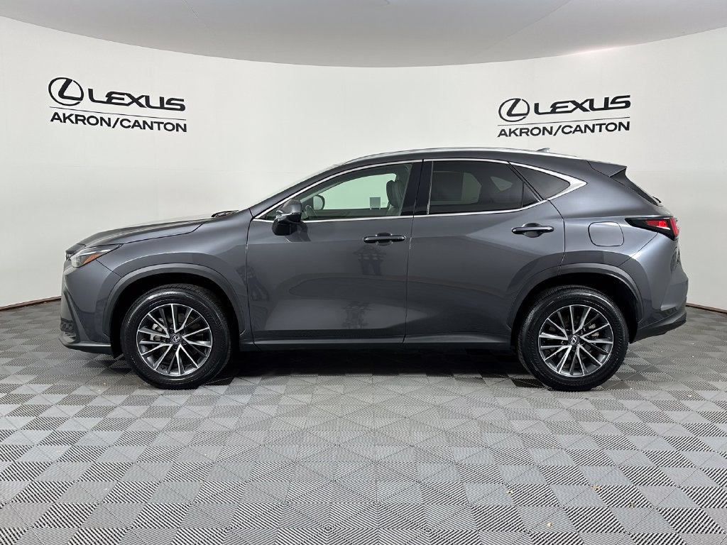 2025 Lexus NX 350 Base
