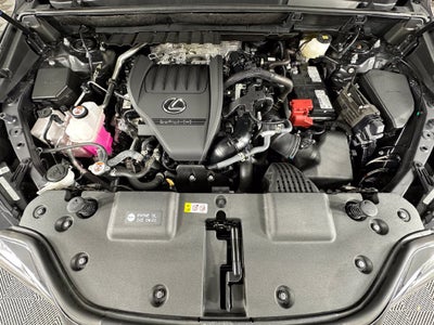 2025 Lexus NX 350 Base