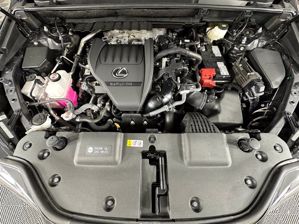 2025 Lexus NX 350 Base