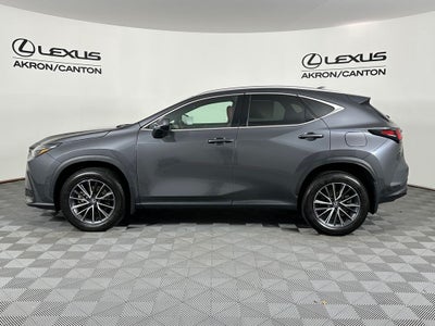 2024 Lexus NX 350 Base