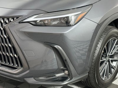 2024 Lexus NX 350 Base