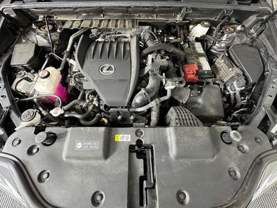 2024 Lexus NX 350 Base