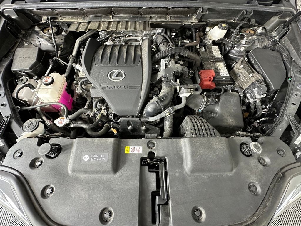 2024 Lexus NX 350 Base