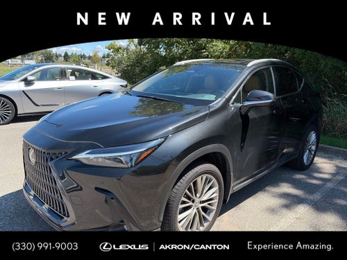 2022 Lexus NX 350 Premium