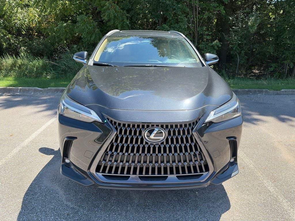 2022 Lexus NX 350 Premium