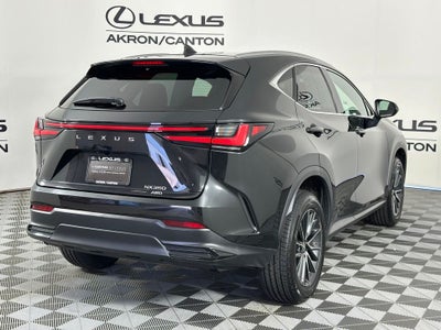 2023 Lexus NX 350 Premium