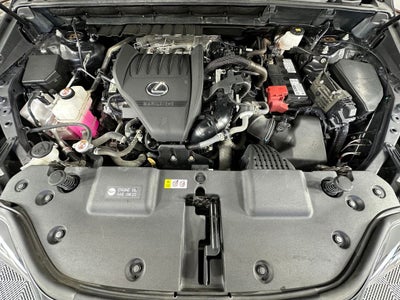 2023 Lexus NX 350 Premium
