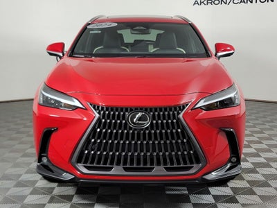 2024 Lexus NX 350 Premium