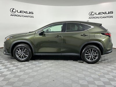 2023 Lexus NX 350 Premium