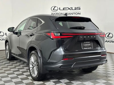 2024 Lexus NX 350 Luxury