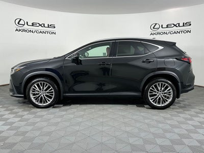 2024 Lexus NX 350 Luxury