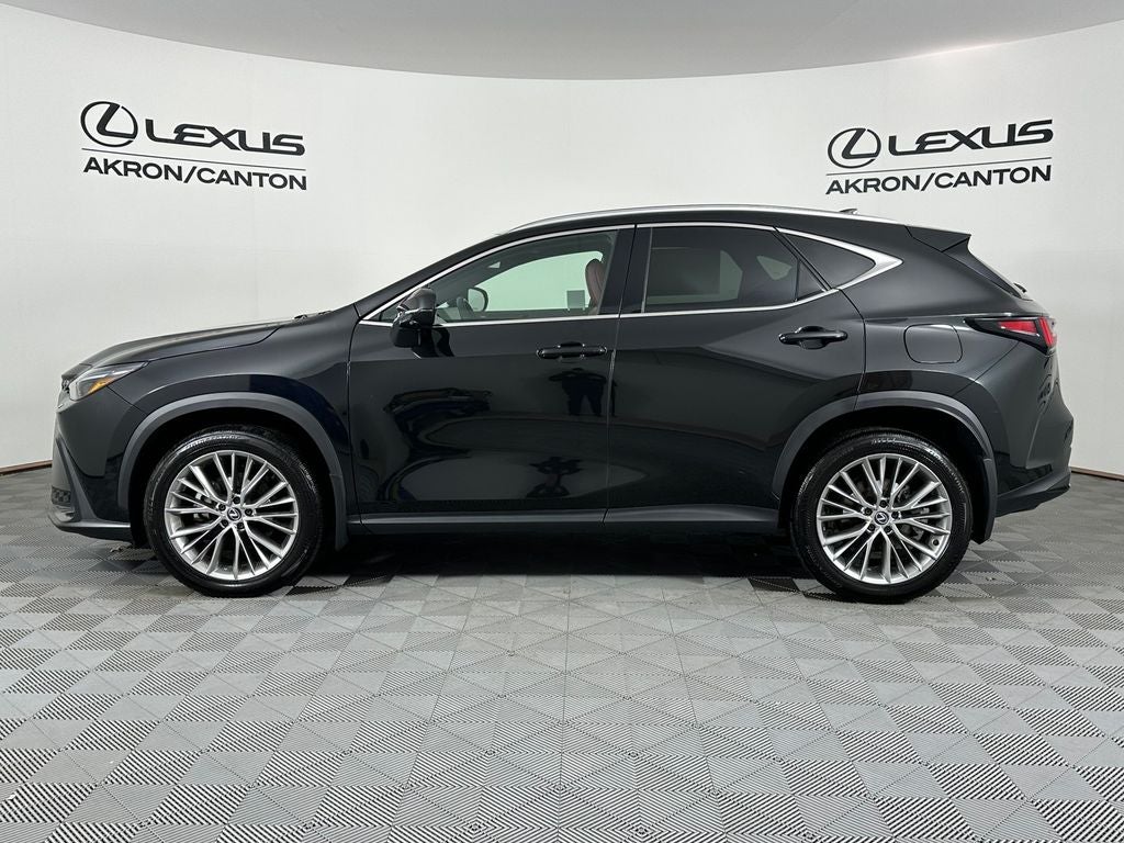 2024 Lexus NX 350 Luxury