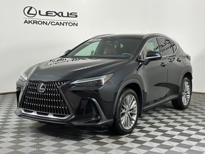2024 Lexus NX 350 Luxury