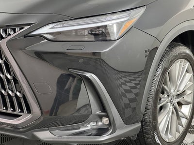 2024 Lexus NX 350 Luxury