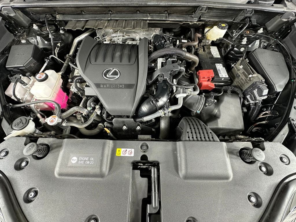 2024 Lexus NX 350 Luxury