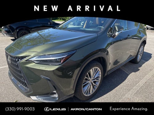 2025 Lexus NX 350 Luxury
