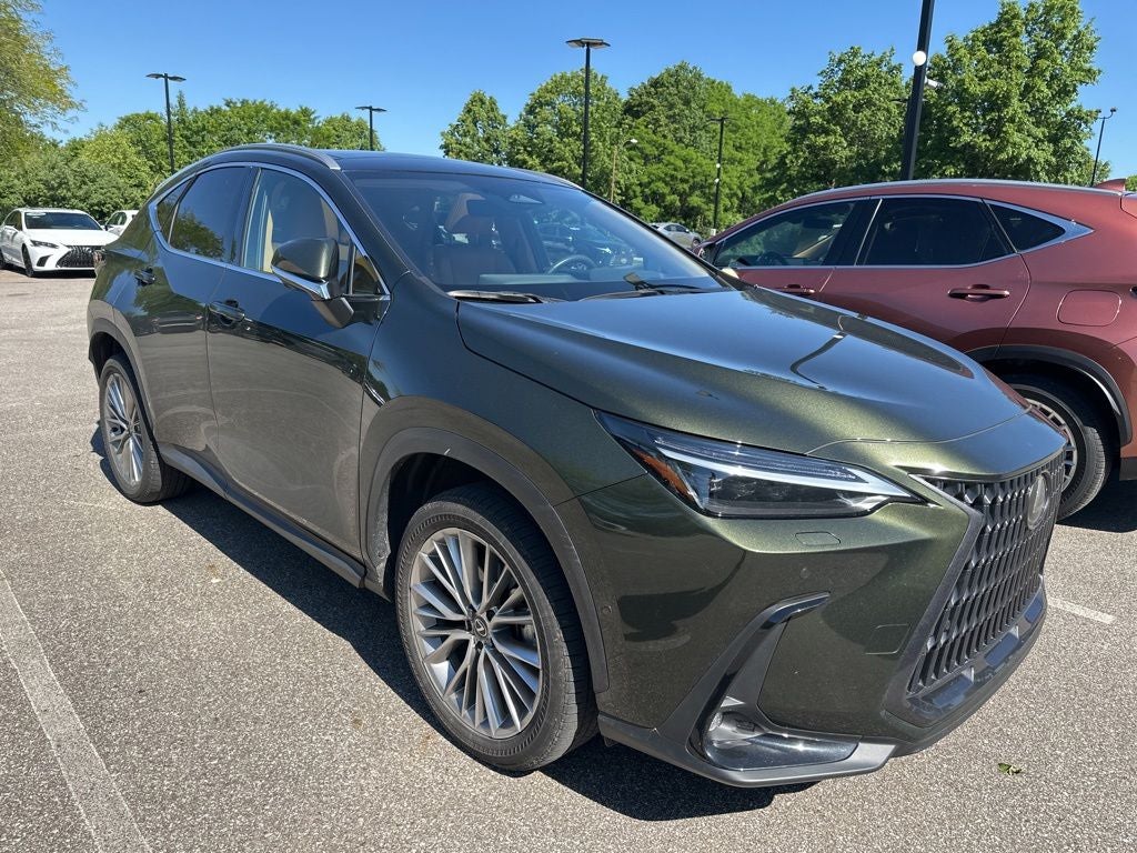 2025 Lexus NX 350 Luxury