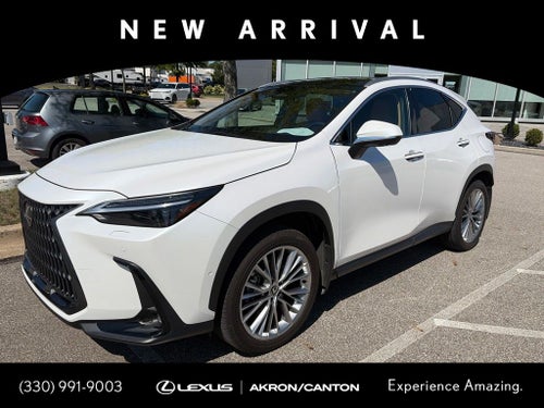2025 Lexus NX 350 Luxury