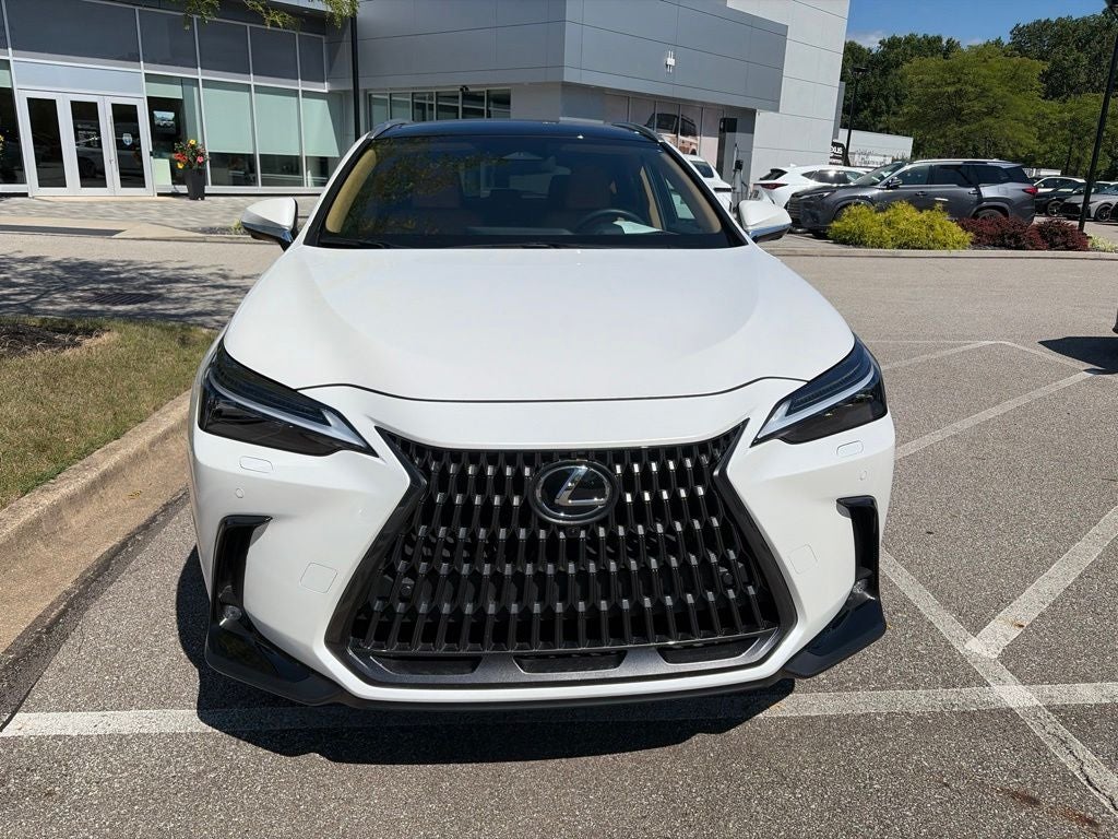 2025 Lexus NX 350 Luxury