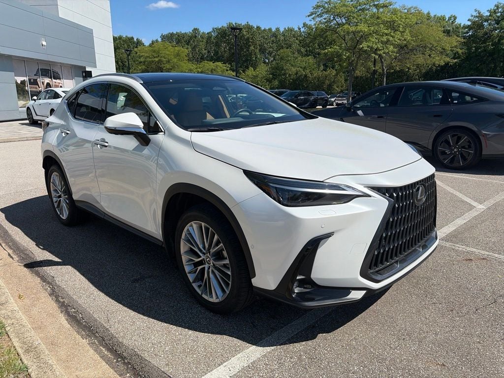 2025 Lexus NX 350 Luxury