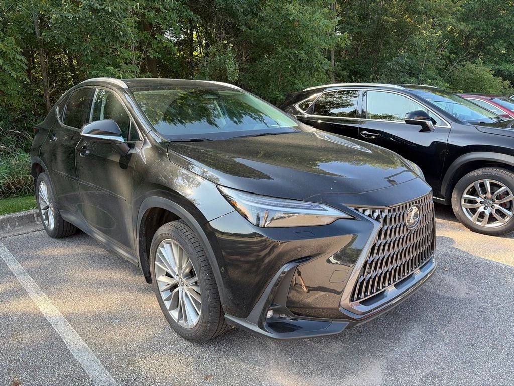 2024 Lexus NX 350h Luxury