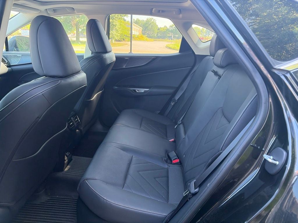 2024 Lexus NX 350h Luxury