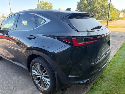 2024 Lexus NX 350h Luxury