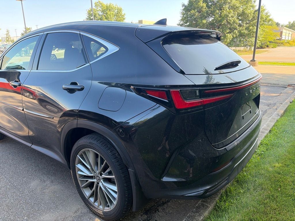 2024 Lexus NX 350h Luxury