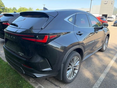 2024 Lexus NX 350h Luxury