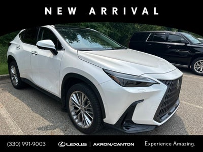 2024 Lexus NX 350h Luxury