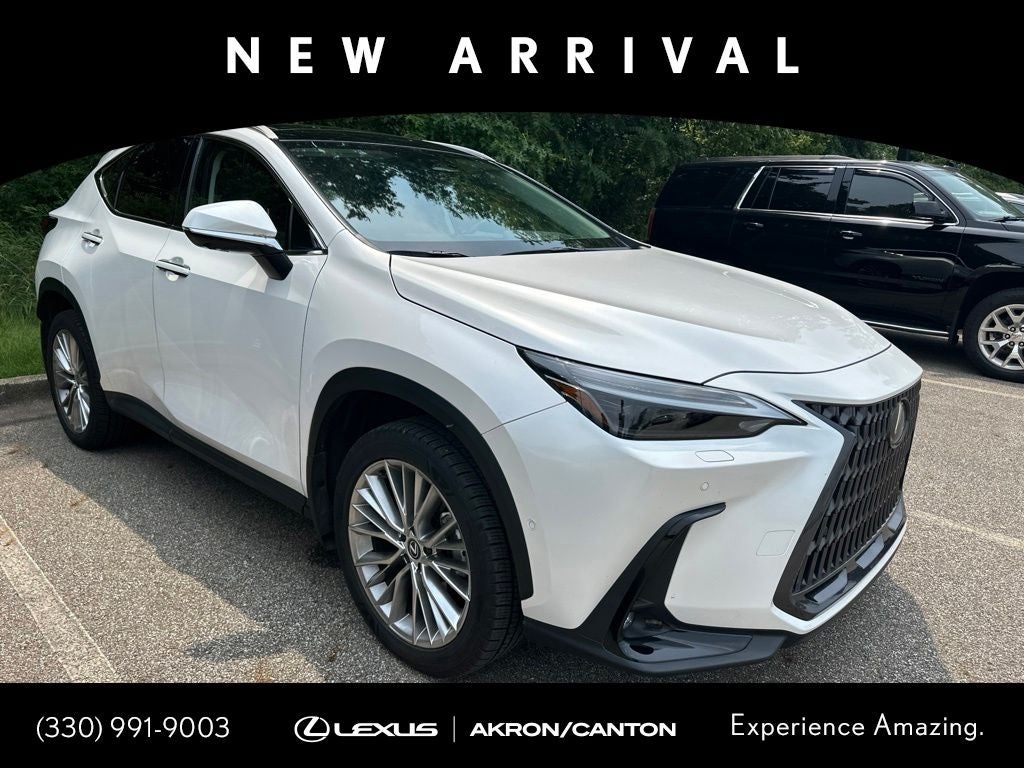 2024 Lexus NX 350h Luxury