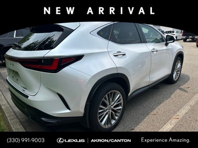 2024 Lexus NX 350h Luxury