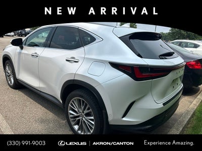 2024 Lexus NX 350h Luxury