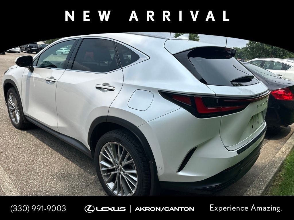 2024 Lexus NX 350h Luxury