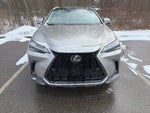 2025 Lexus NX 350h Luxury